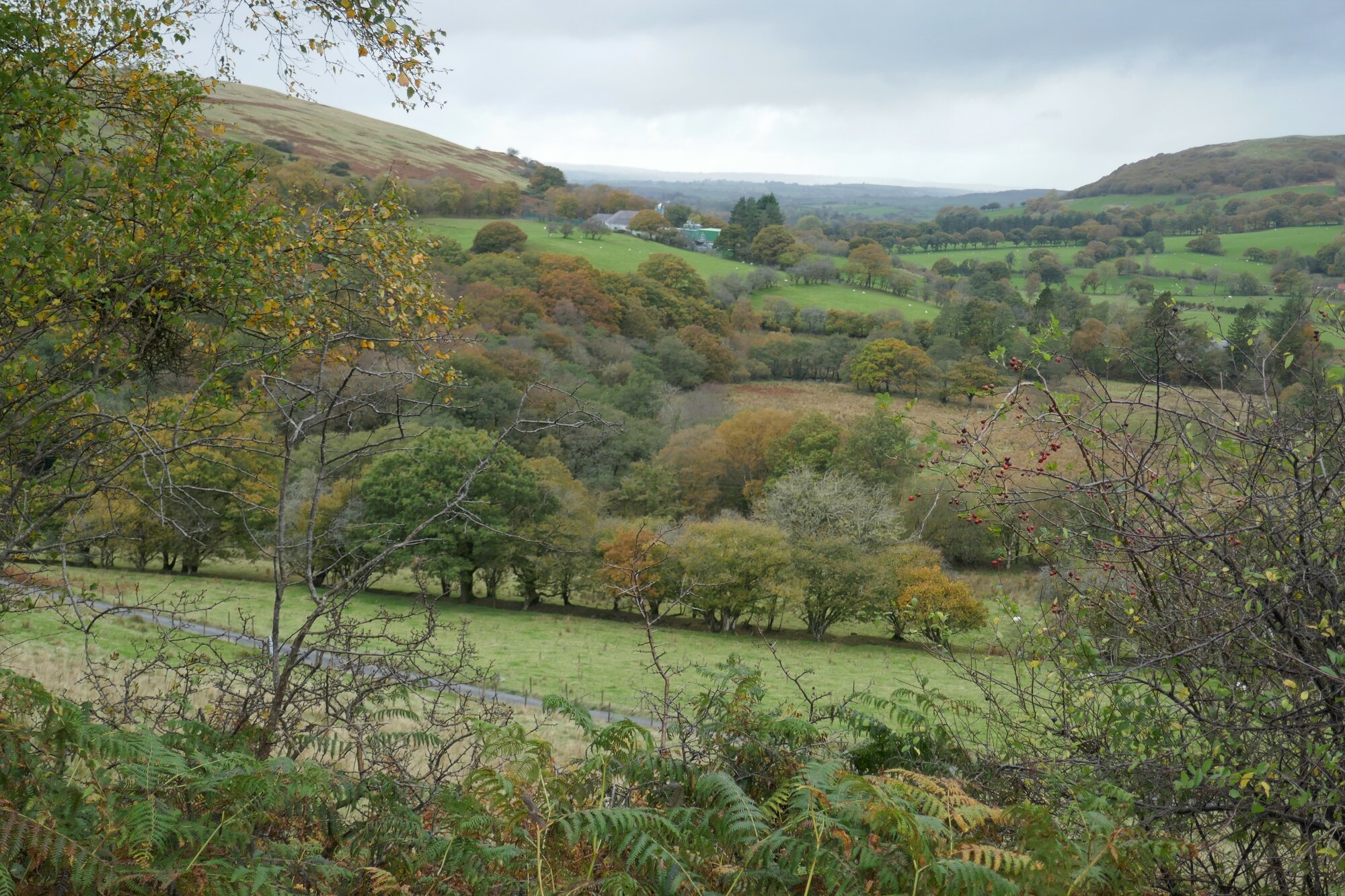 RachelSeabrook.net | Wild Walking | Teifi Pools | pic44